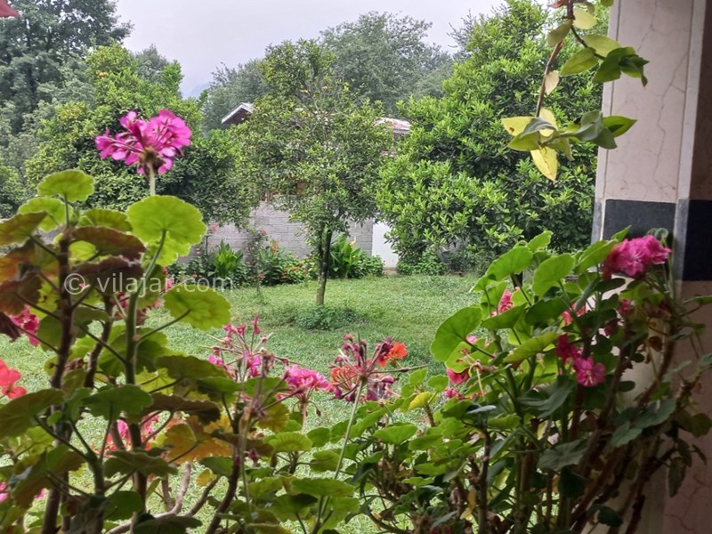 عکس شماره 691267 - رزرو ویلا باغ با چشم انداز جنگلی - 