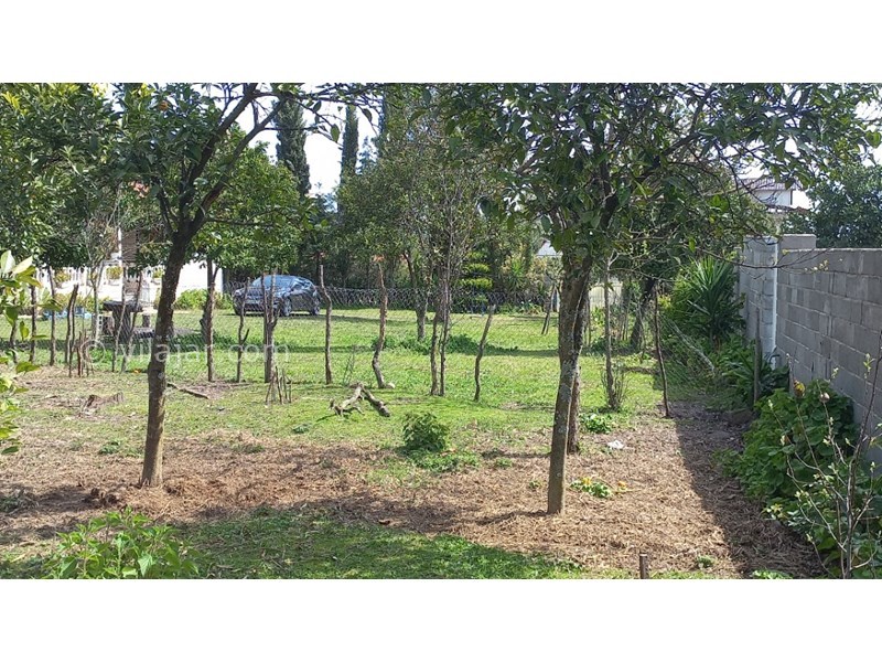 عکس شماره 691271 - رزرو ویلا باغ با چشم انداز جنگلی - 