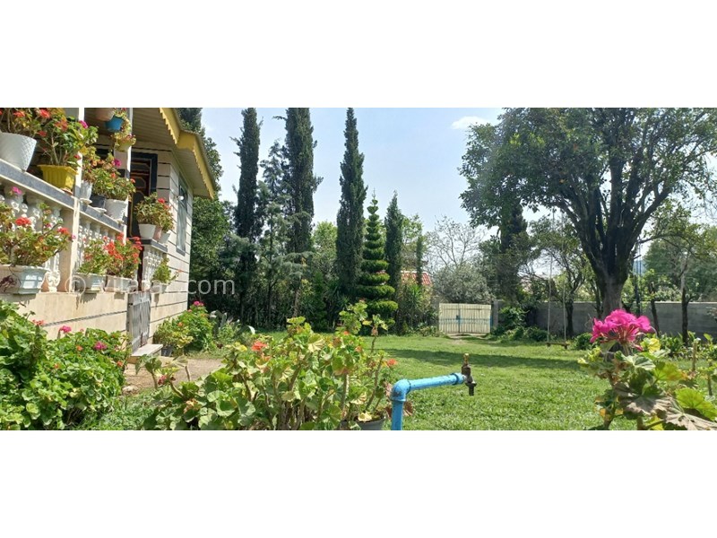 عکس شماره 691281 - رزرو ویلا باغ با چشم انداز جنگلی - 