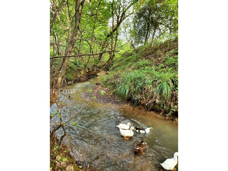 عکس شماره 691980 - ویلا باغ روستایی جاده سراوان - 