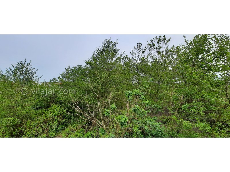 عکس شماره 693142 - اجاره ویلا استخردار نور رستمرود - 