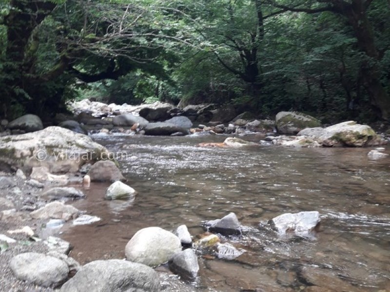 عکس شماره 693914 - اجاره ویلا جنگلی نزدیک قلعه رودخان - 