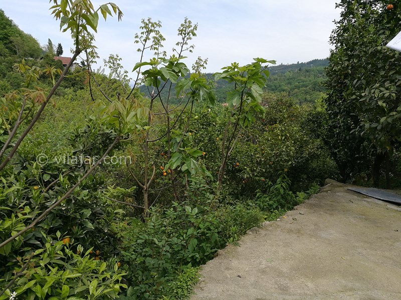 عکس شماره 693961 - اجاره ویلا در جواهرده رامسر -