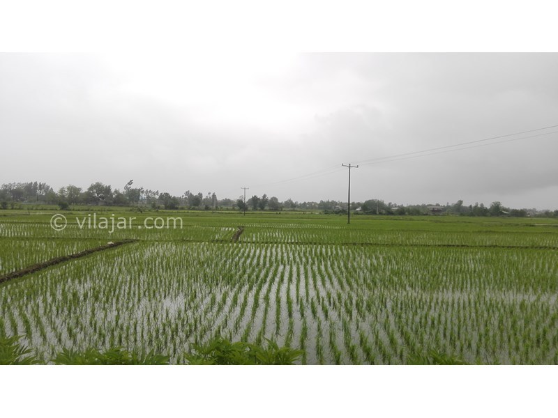 عکس شماره 694056 - ویلا دوبلکس در جاده ییلاقات ماسال - بدون شرح 