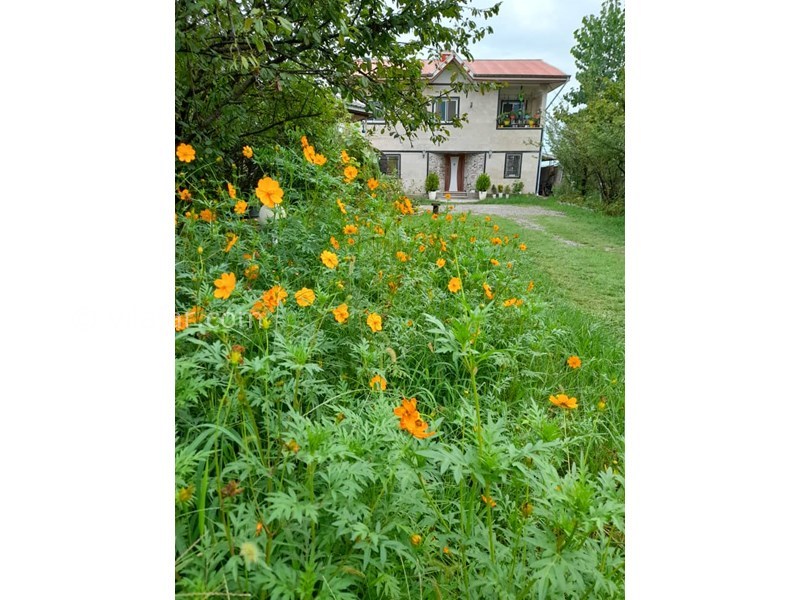 عکس شماره 694225 - اجاره ویلا در ماسال - تابستان