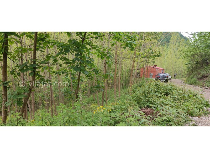 عکس شماره 694328 - اجاره ویلا در سوادکوه جوارم - کلبه در دل جنگل