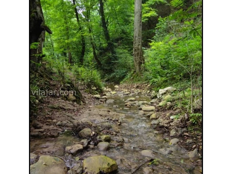 عکس شماره 694330 - اجاره ویلا در سوادکوه جوارم - رودخانه کنارکلبه