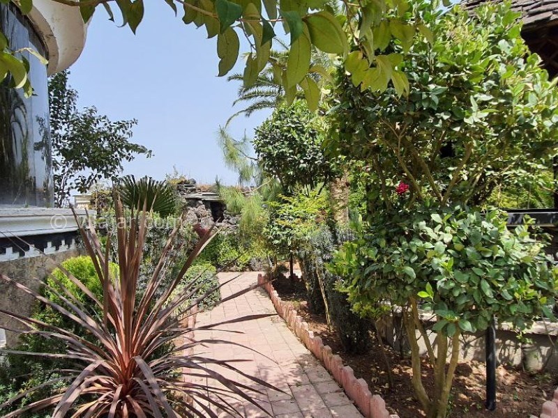 عکس شماره 694335 - اجاره ویلا جنگلی دو استخره شهرکی -