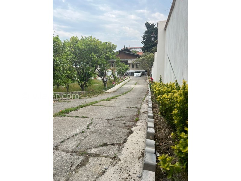 عکس شماره 694718 - اجاره ویلا در رامسر - حیاط گل کاری شده