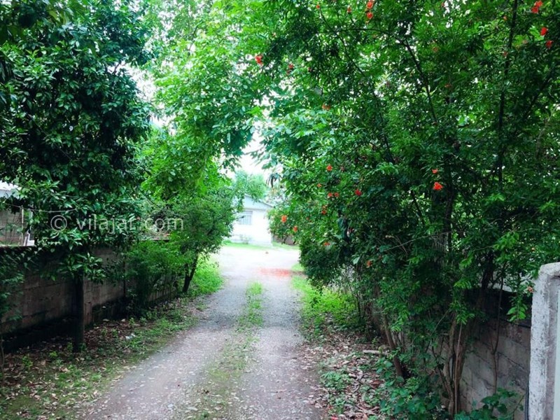 عکس شماره 694783 - اجاره باغ ویلا در ماسال - 