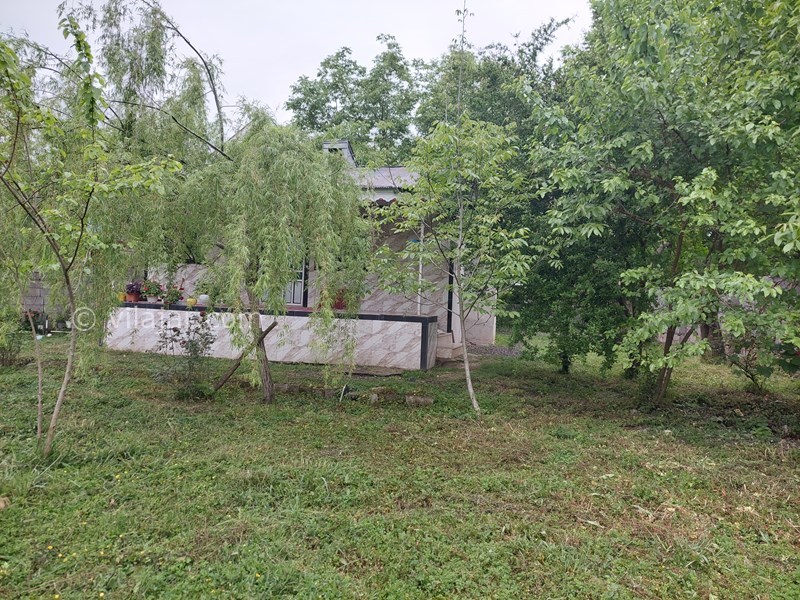 عکس شماره 695011 - اجاره ویلا در ماسال جنگلی - 