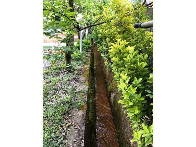 عکس شماره 695144 - اجاره ویلا با استخر روباز عباس آباد - 