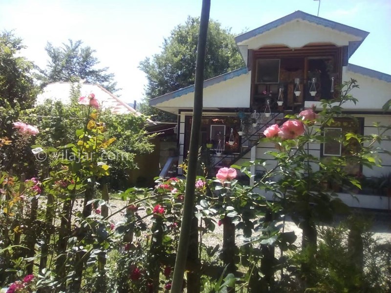 عکس شماره 695221 - ویلا اجاره ای در ماسال - 