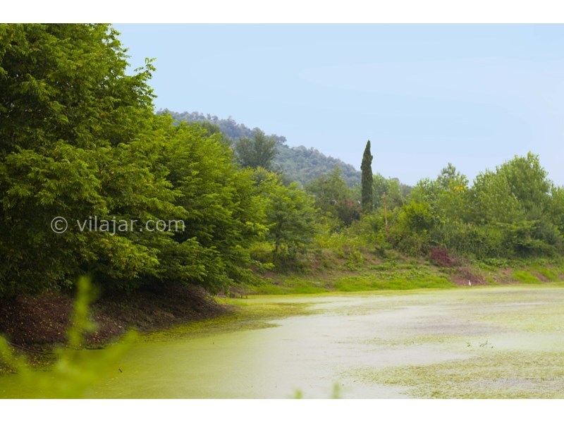 عکس شماره 695524 - اجاره کلبه چوبی در ماسال - 