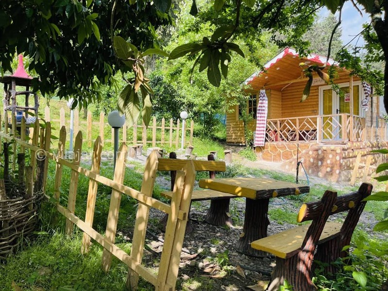 عکس شماره 695527 - اجاره کلبه چوبی در ماسال - 