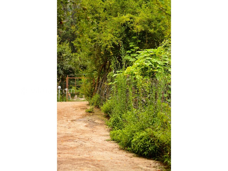 عکس شماره 695536 - اجاره کلبه چوبی در ماسال - 