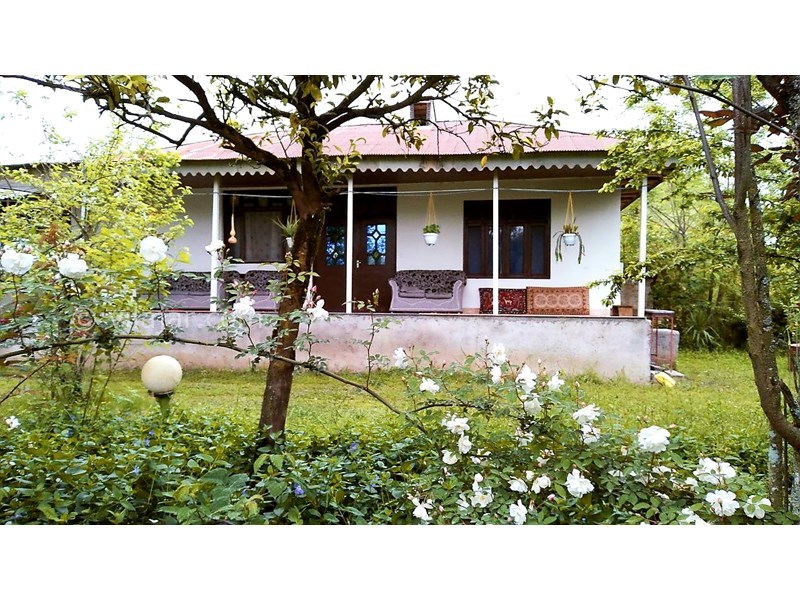 عکس شماره 695966 - ویلا باغ اجاره ای در ماسال - عکس اصلی و نمای سبز ویلا باغ