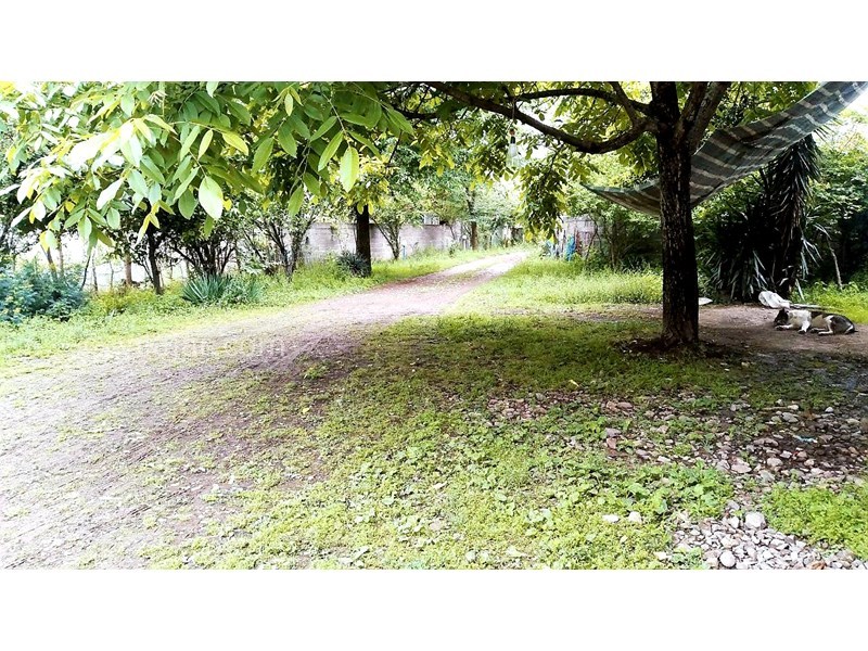 عکس شماره 695976 - ویلا باغ اجاره ای در ماسال - 