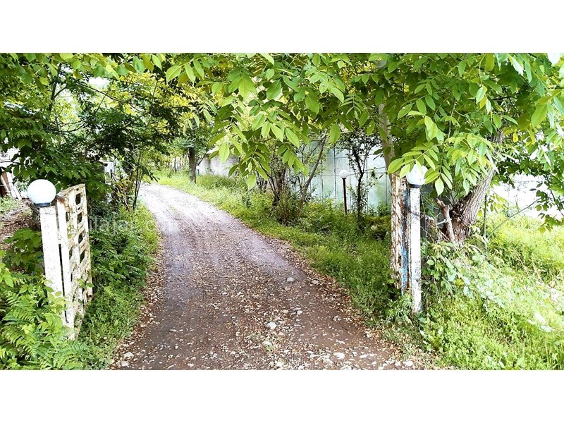 عکس شماره 695977 - ویلا باغ اجاره ای در ماسال - راه ورودی بن بست یادگار