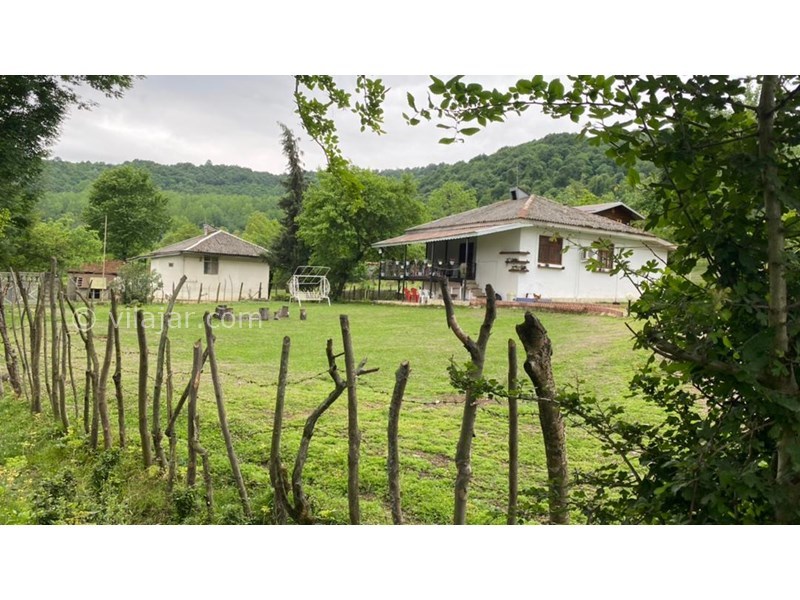 عکس شماره 696098 - اجاره ویلا در ماسال در جنگل - عکس اصلی