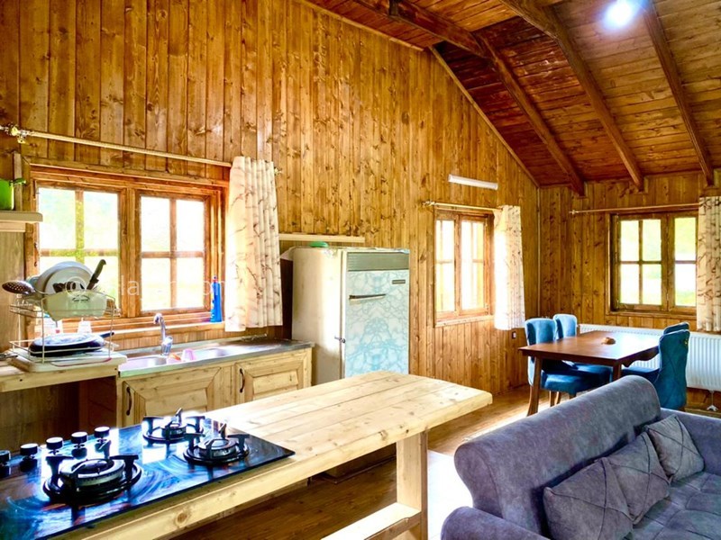 عکس شماره 696221 - اجاره ویلا چوبی جنگلی رامسر - 