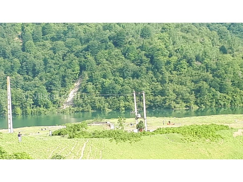 عکس شماره 696233 - اجاره ویلا در سوادکوه لفور - 