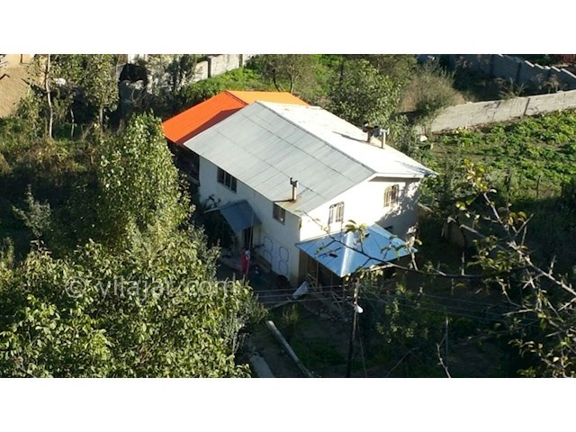 عکس شماره 69673 - اقامت در جنگل دالیخانی رامسر - 