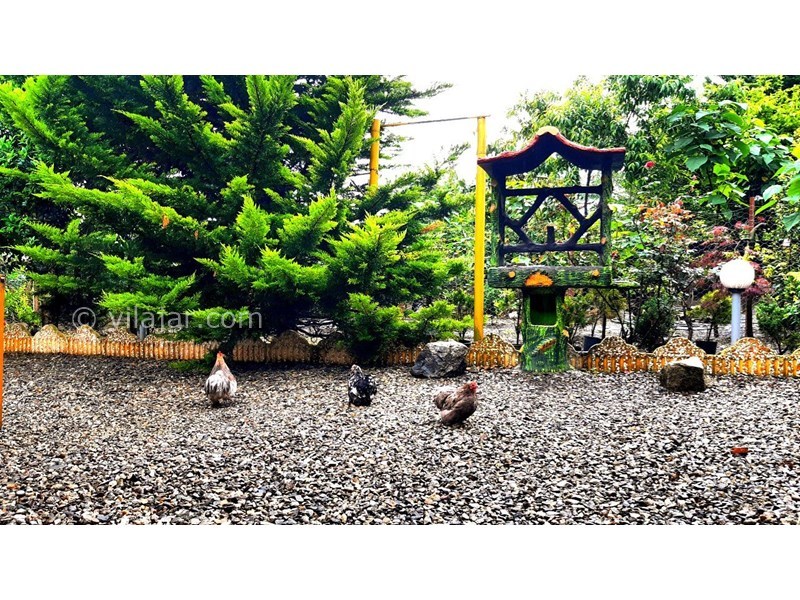 عکس شماره 696905 - اجاره ویلا در ولی آباد تنکابن - 