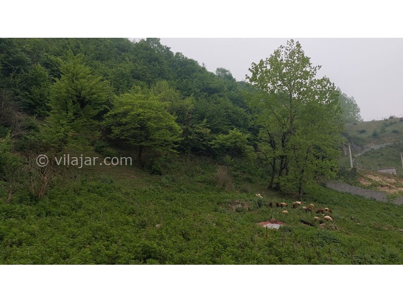 عکس شماره 697305 - اجاره ویلا ییلاقی نزدیک سوادکوه - 