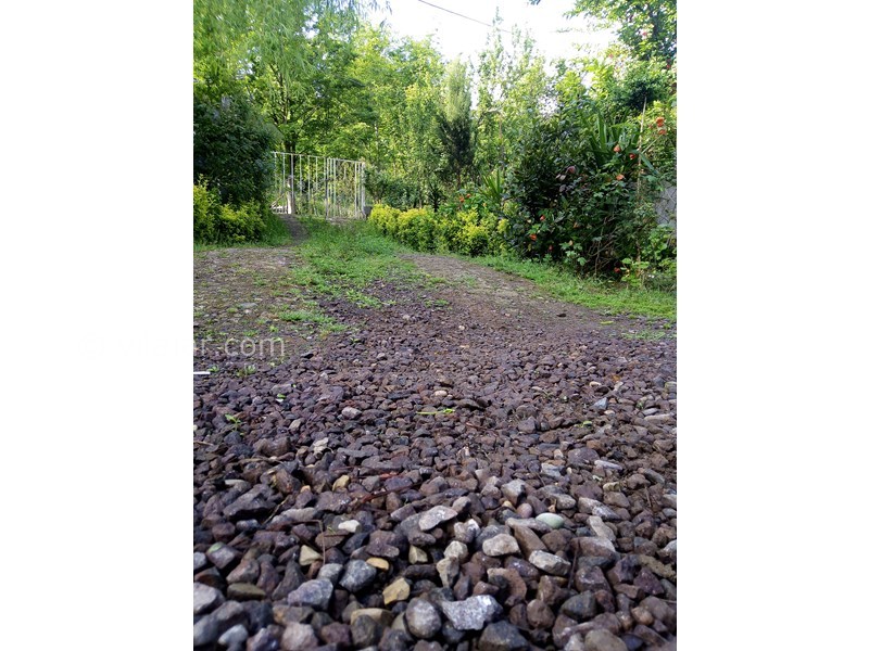 عکس شماره 698436 - اجاره ویلا جنگلی در شفت - ورودی