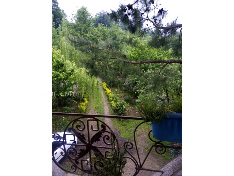 عکس شماره 698443 - اجاره ویلا جنگلی در شفت - 