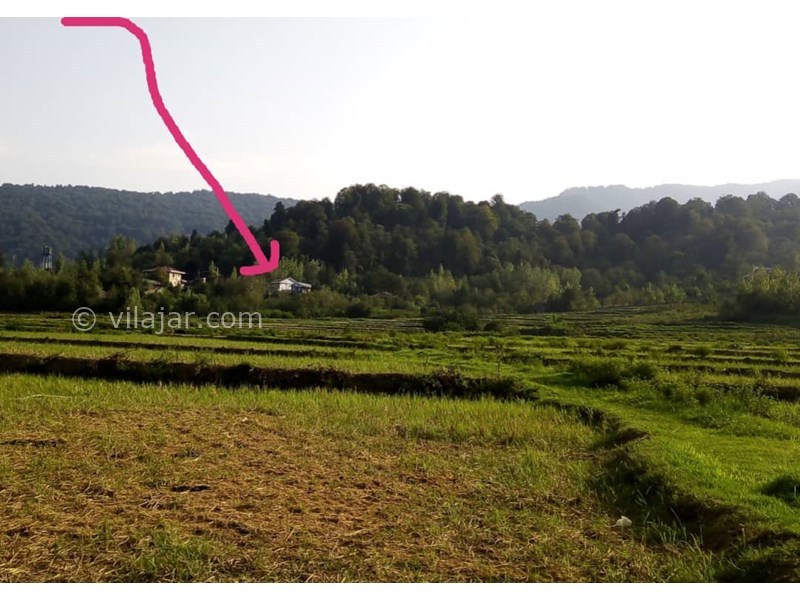 عکس شماره 698458 - اجاره ویلا جنگلی در شفت - موقعیت ویلا از دور