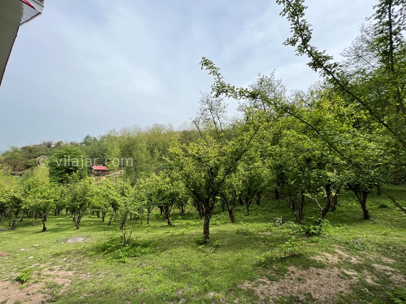 عکس شماره 698768 - اجاره ویلا چوبی جنگلی ماسال - 