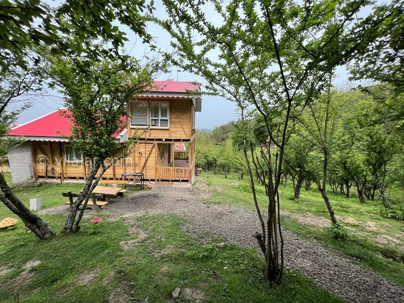 عکس شماره 698770 - اجاره ویلا چوبی جنگلی ماسال - 