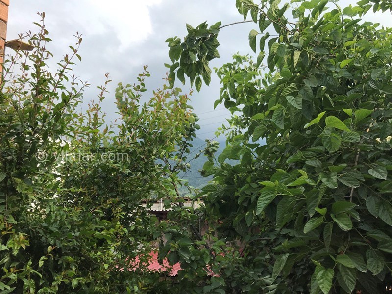 عکس شماره 698936 - خانه روستایی در علی اباد کتول گلستان - ویو