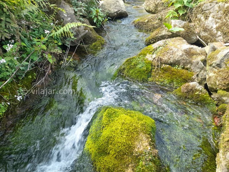 عکس شماره 698980 - اجاره ویلا ماسال با چشمه اختصاصی - 