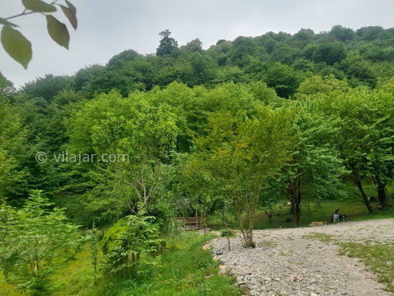 عکس شماره 698981 - اجاره ویلا ماسال با چشمه اختصاصی - 