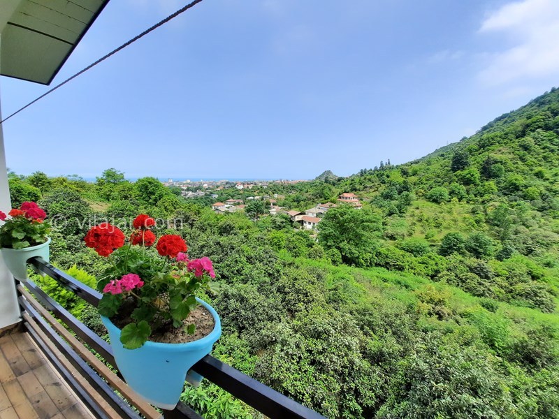 عکس شماره 699495 - ویلا جنگلی استخردار در رامسر - 