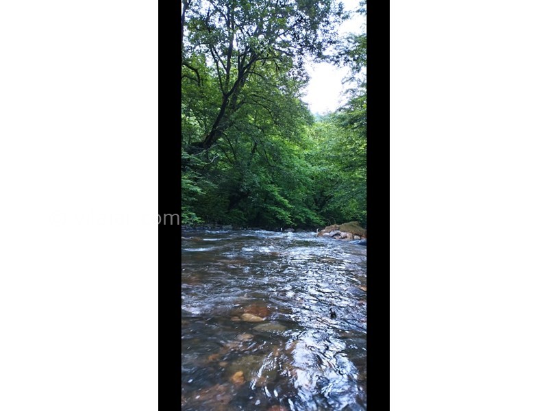 عکس شماره 699954 - اجاره ویلا جنگلی نزدیک قلعه رودخان - 