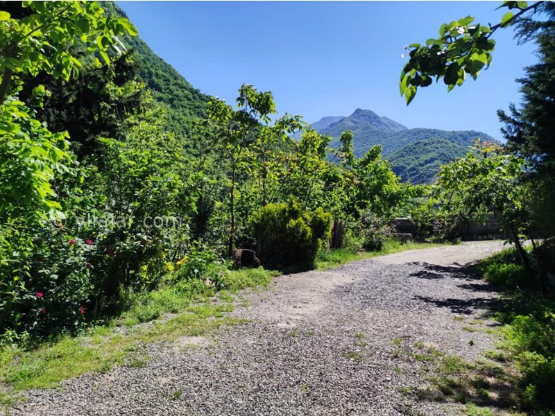 عکس شماره 699997 - ویلا ییلاقی جنگلی در جاده دوهزار -