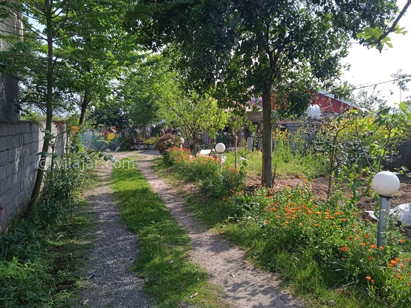 عکس شماره 700302 - اجاره ویلا در تالش - 