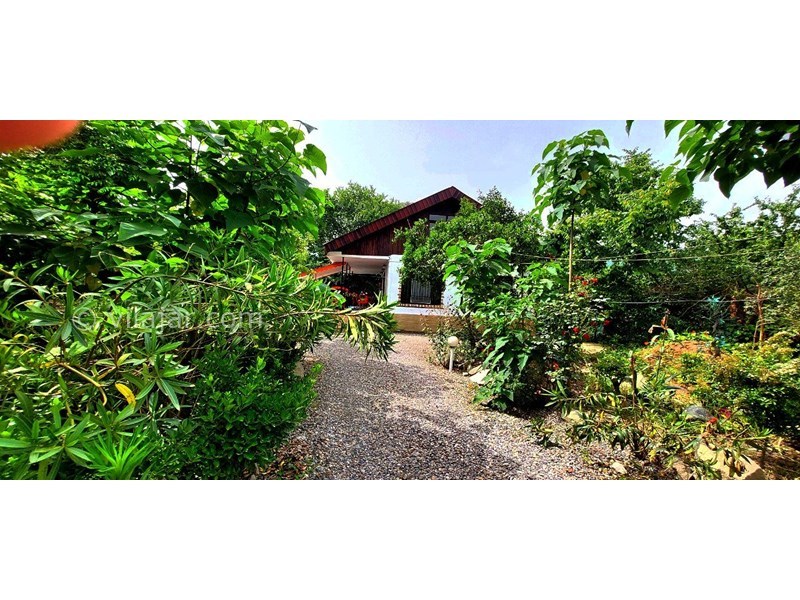 عکس شماره 700321 - اجاره ویلا در ولی آباد تنکابن - حیاطی زیبا