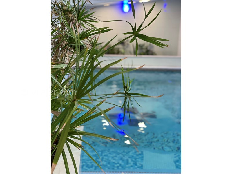 عکس شماره 700851 - اجاره ویلا استخردار در بندر انزلی - 