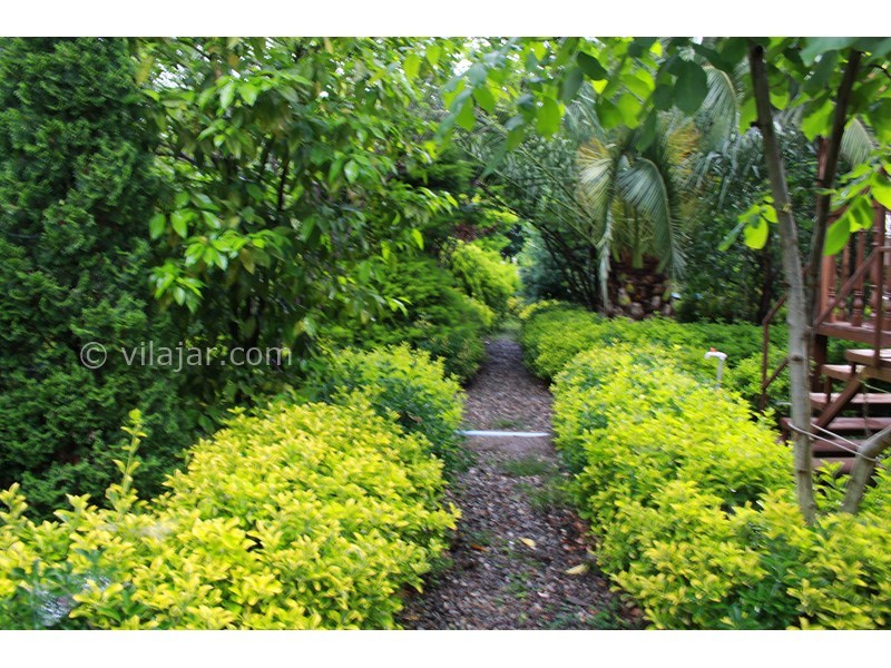 عکس شماره 701102 - اجاره ویلا باغ در ماسال - نمای باغ