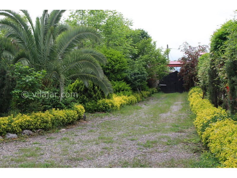 عکس شماره 701122 - اجاره ویلا باغ در ماسال - نمای باغ