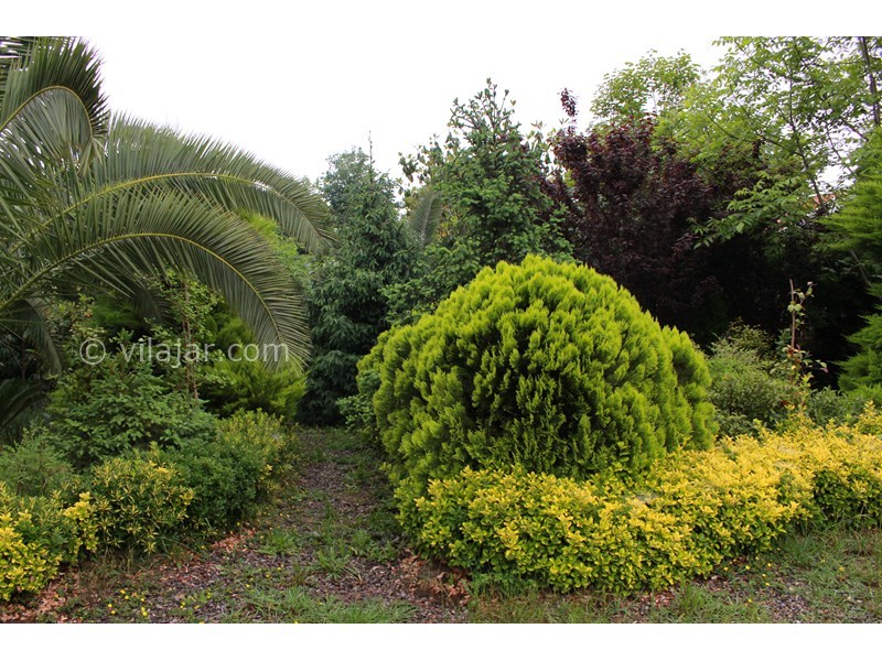 عکس شماره 701135 - اجاره ویلا باغ در ماسال - باغ