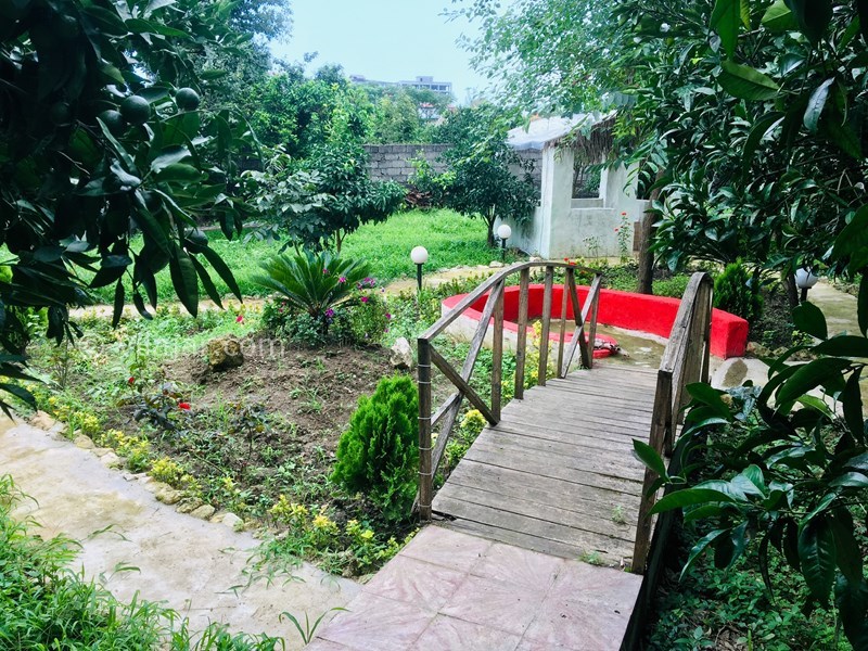 عکس شماره 702448 - ویلا با استخر و جکوزی در رامسر - 