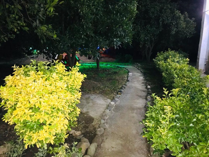 عکس شماره 702457 - ویلا با استخر و جکوزی در رامسر - 