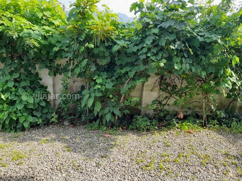 عکس شماره 702520 - اجاره ویلا در قلعه رودخان - 