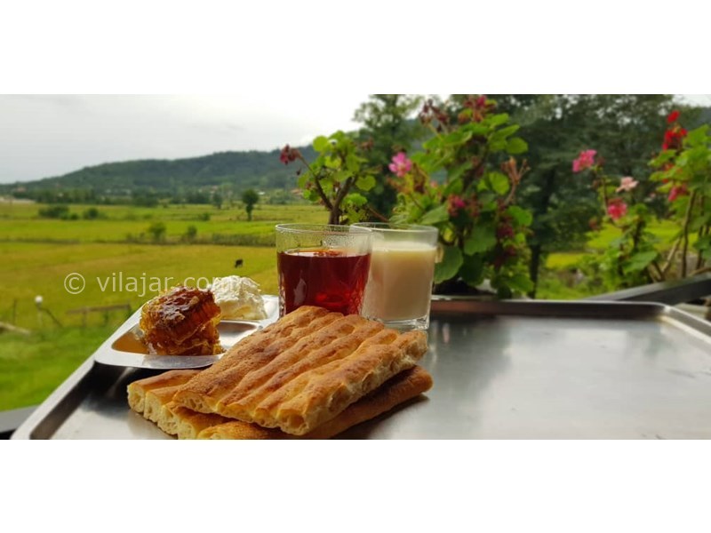 عکس شماره 703160 - ویلا ماسال چشم انداز جنگل و شالیزار - 